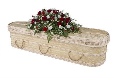 alternative coffins